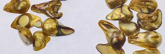 Blister Freshwater Pearl Beads – Gold