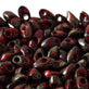 Miyuki 4x7mm Long Magatama Seed Beads, picasso opaque red garnet