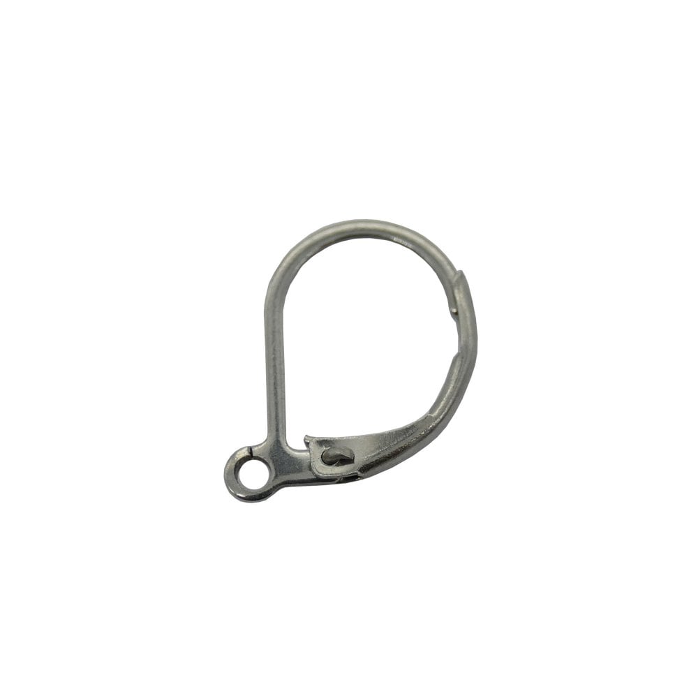304 Stainless Steel Lever back Earring with Loop 15x10mm, stainless steel
