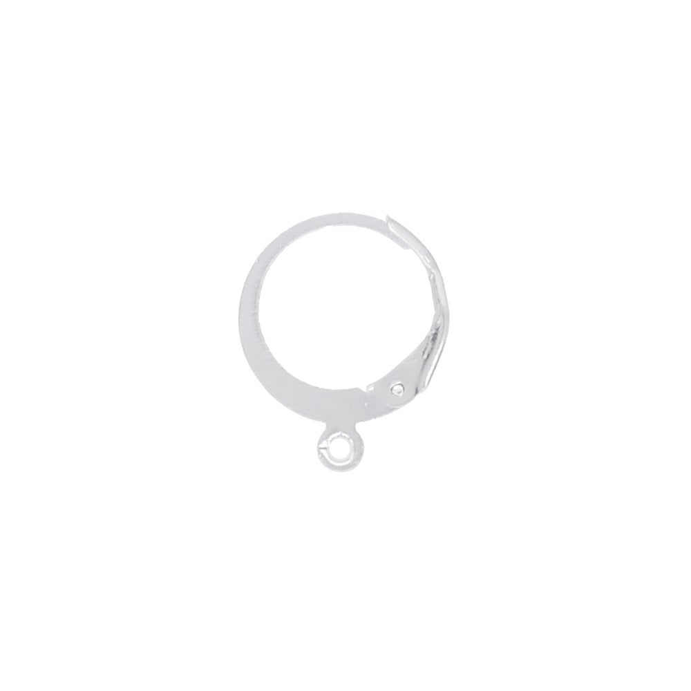 304 Stainless Steel Round Lever Back Earring with Loop 14x12mm, silver
