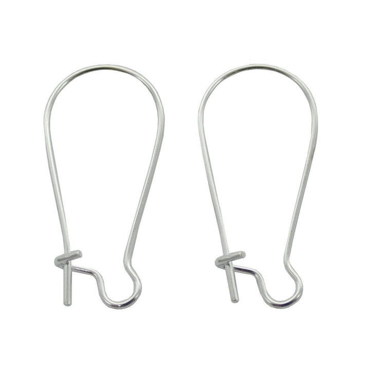 304 Stainless Steel Kidney Ear Wire 20x11mm, silver