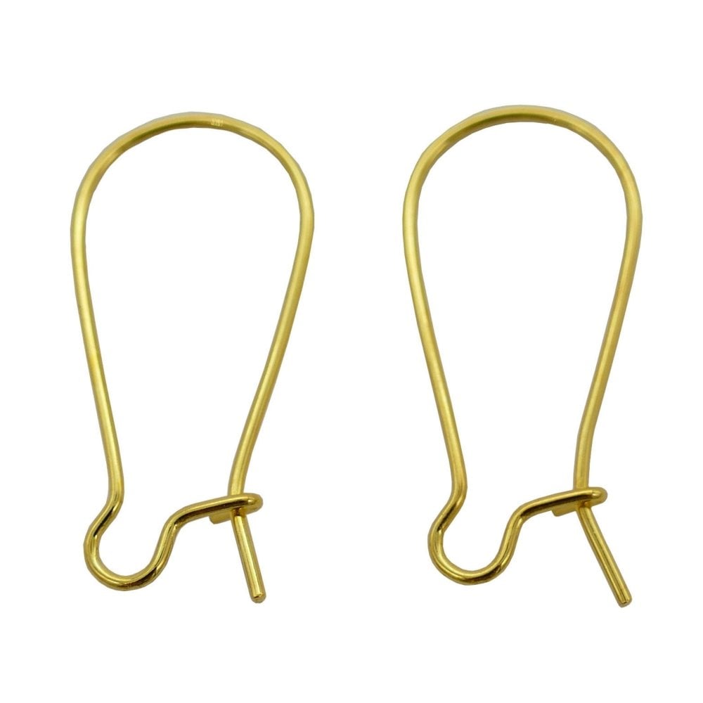 304 Stainless Steel Kidney Ear Wire 25x11mm, golden
