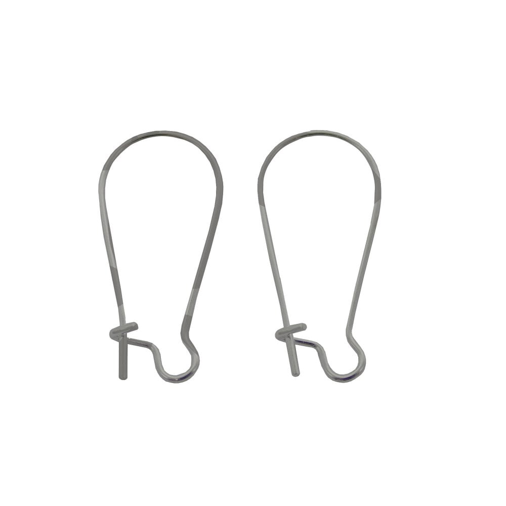 316 Surgical Stainless Steel Kidney Ear Wire 20x12mm, stainless steel