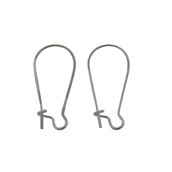 316 Surgical Stainless Steel Kidney Ear Wire 20x12mm, stainless steel