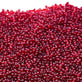 Preciosa Seed Beads 11/0, transparent garnet