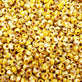 Miyuki Seed Beads 8/0, picasso canary yellow matte