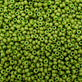 Miyuki Seed Beads 11/0, special dyed olive green