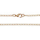 Soft gold-plated curb chain necklace, 24 inch, laid out to show the lobster clasp and chain links