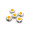 Wooden Sunflower Beads 22mm, white/yellow