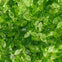 Leaf Mix Acrylic Charms 10x3mm, green tones, additional photo