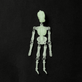 Glow in the Dark Acrylic Skeleton Pendant 100x27mm, green, additional photo