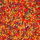 Miyuki 11/0 Delica Seed Beads, luminous mix 3 (DB2062)