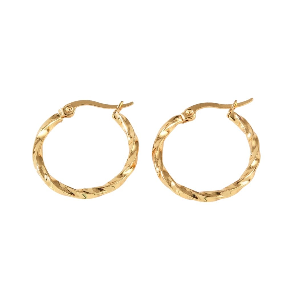 Twisted Hoop Earrings 25mm (2.5mm Gauge), 201 stainless steel golden