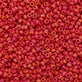 Miyuki Seed Beads 11/0, matte red AB