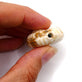 Handmade Glazed Porcelain Ammonite Beads 40mm, cream/brown, additional photo