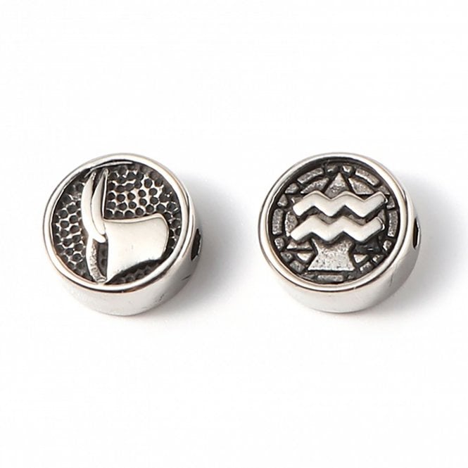 10mm Stainless Steel Zodiac Beads - Aquarius - 1pc