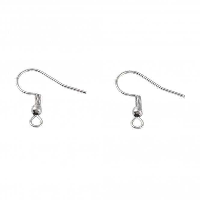 304 Stainless Steel Fish Hook Earring Components 20mm – Original Colour - 24pcs