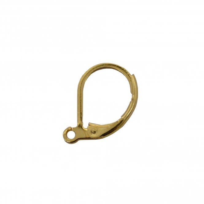 304 Stainless Steel Lever back Earring with Loop 15x10mm - Golden - 2pcs
