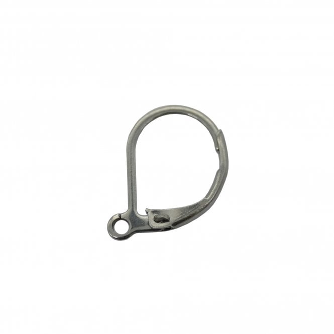 304 Stainless Steel Lever back Earring with Loop 15x10mm - Stainless Steel - 2pcs