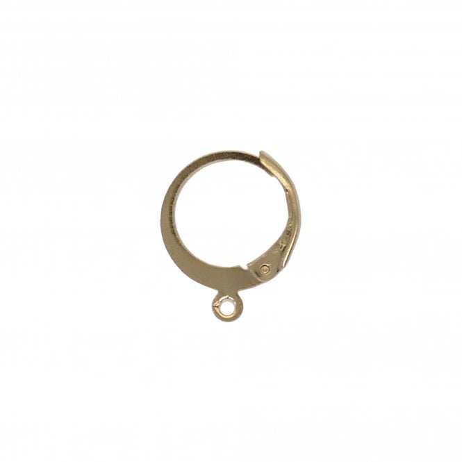 304 Stainless Steel Round Lever Back Earring with Loop 14x12mm - Golden - 2pcs