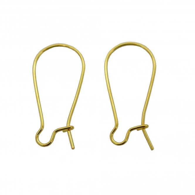 316 Surgical Stainless Steel Kidney Ear Wire 20x12mm - Golden - 4pcs