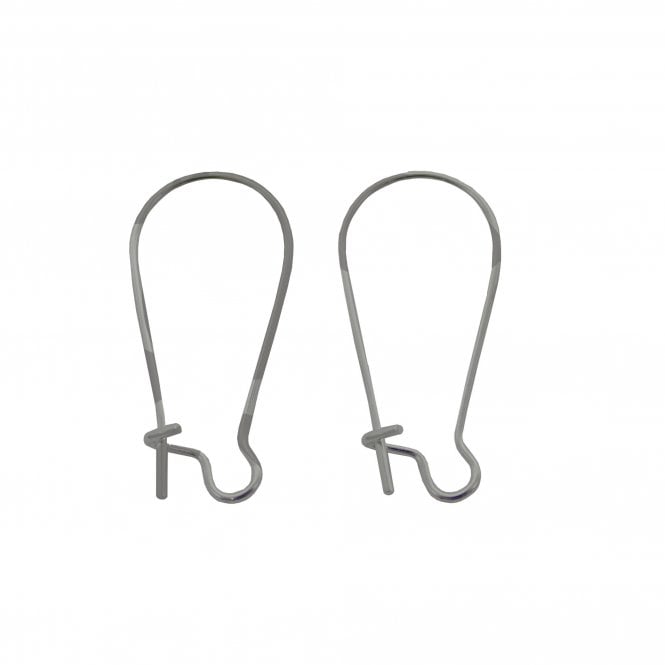 316 Surgical Stainless Steel Kidney Ear Wire 20x12mm - Stainless Steel - 24pcs