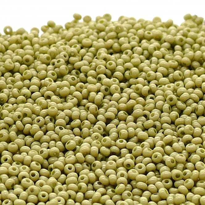  Seed Beads 11/0 - Solgel Opaque Celadon - 20g